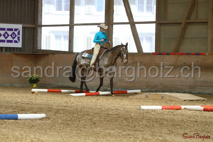 26-ApHC GT_162.jpg